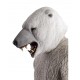 CARETA DE OSO BLANCO LÁTEX