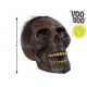 CABEZA CALAVERA VOODOO
