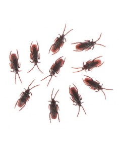 CUCARACHAS