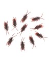 CUCARACHAS
