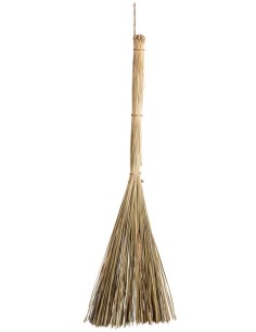 ESCOBA DE BRUJA