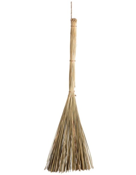 ESCOBA DE BRUJA