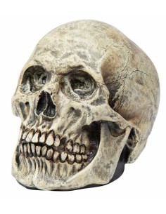 CALAVERA HUMANO REALISTA