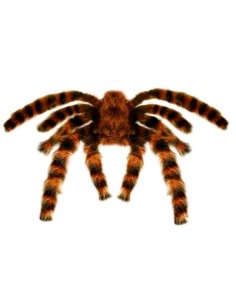 TARÁNTULA PELUDA GIGANTE MOLDEABLE