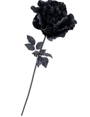 ROSA GIGANTE DE TERCIOPELO NEGRO