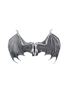 ALAS DRAGÓN DE LÁTEX 120CM X 72CM