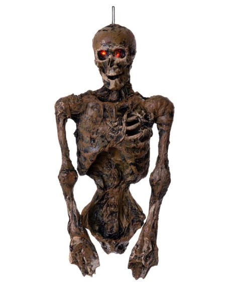 ESQUELETO MEDIO CUERPO COLGANTE CON LUZ