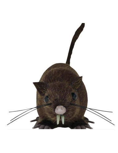 RATA PELUDA MARRÓN 15 CM