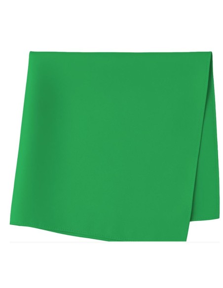 PAÑUELO VERDE 54 X 54 CM