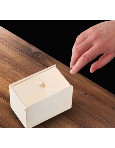CAJA DE MADERA CON ARAÑA DE BROMA