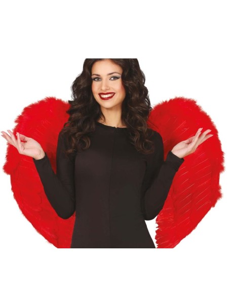 ALAS DE PLUMAS 80 X 55 CM