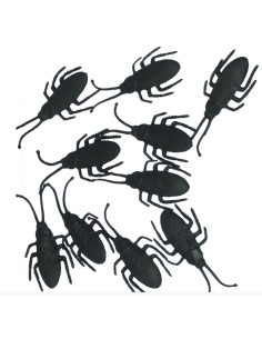 CUCARACHAS DE 7 CM, 10 UND
