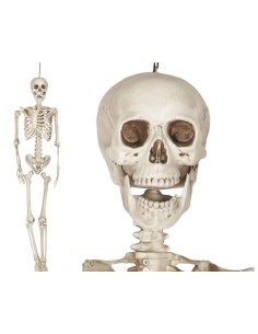 ESQUELETO 160 CM