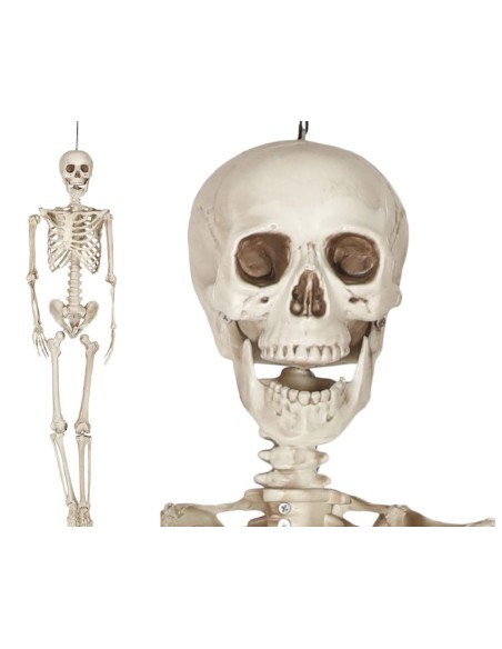 ESQUELETO 160 CM