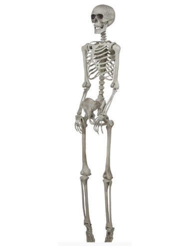 ESQUELETO 160 CM