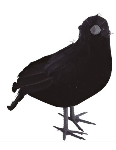 CUERVO 20 CM