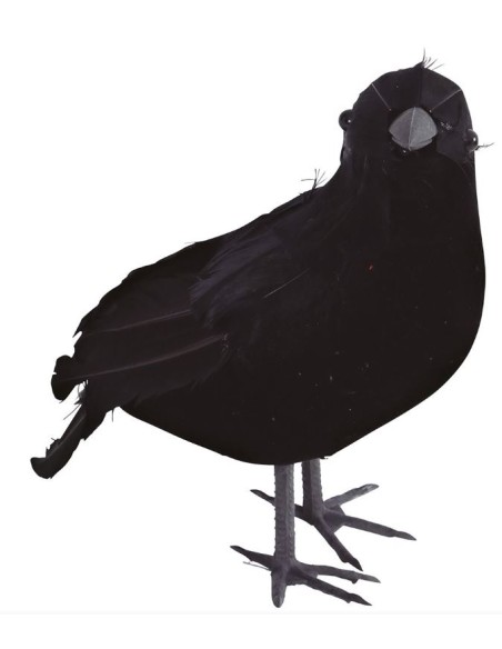 CUERVO 20 CM