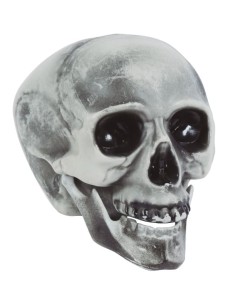 CALAVERA CON MANDÍBULA MÓVIL 2