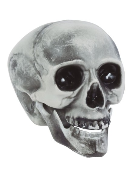 CALAVERA CON MANDÍBULA MÓVIL
