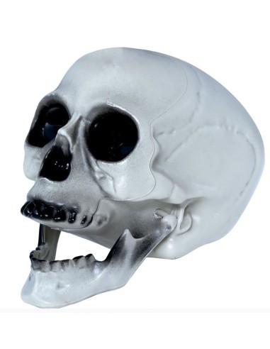 CALAVERA CON MANDÍBULA MÓVIL