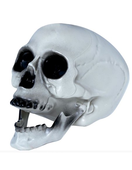 CALAVERA CON MANDÍBULA MÓVIL