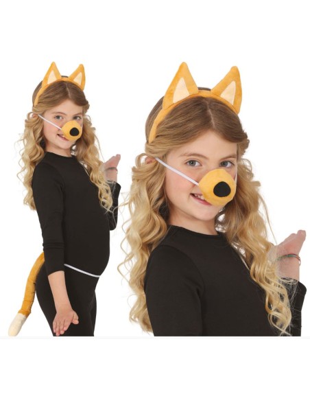 SET PERRITO MARRÓN