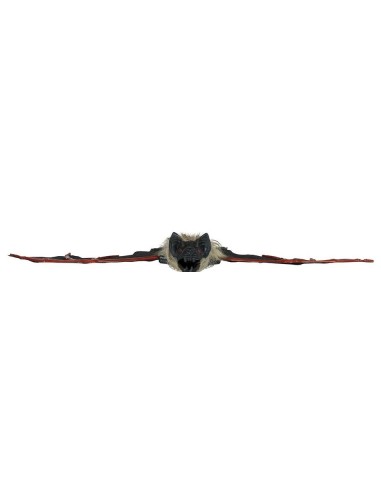 MURCIÉLAGO 38 CM