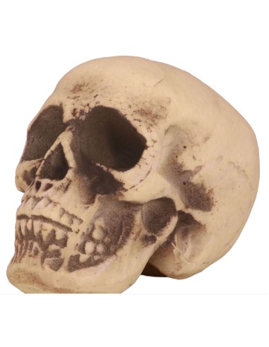CALAVERA PVC 20 CM 