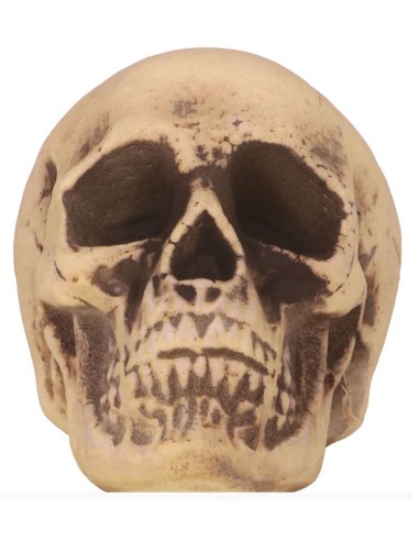 CALAVERA PVC 20 CM 