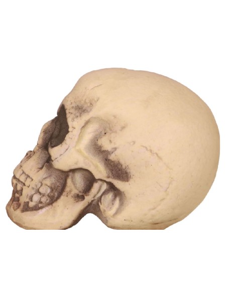 CALAVERA PVC 20 CM 