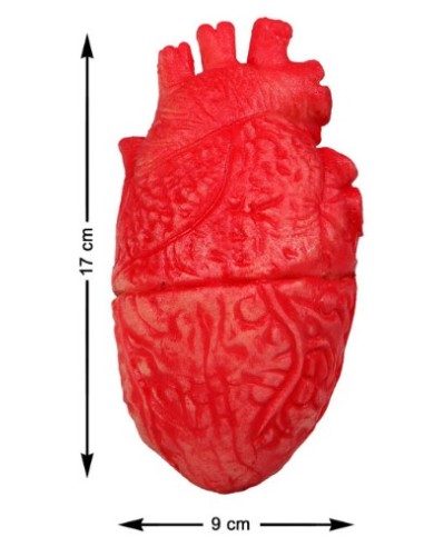 CORAZÓN 17 X 9 CM