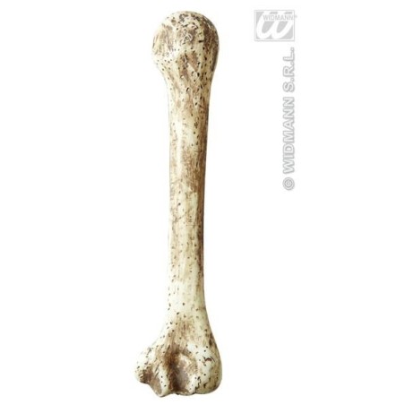 HUESO PREHISTÓRICO                                