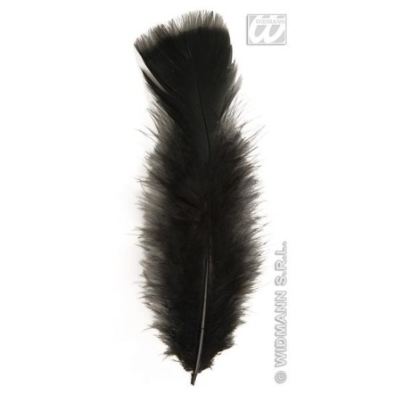 PLUMAS NEGRAS 10 CM                               