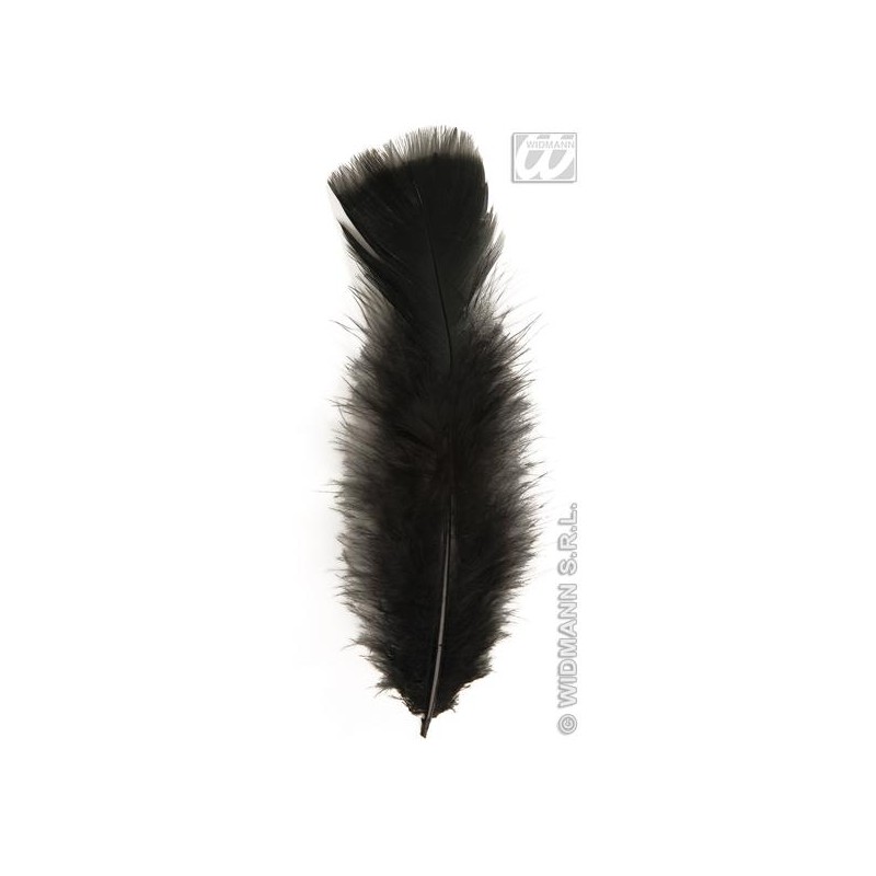 PLUMAS NEGRAS 10 CM