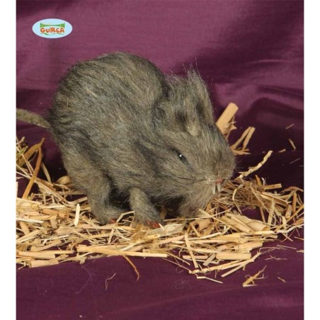 RATA                                              