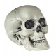 CALAVERA DE PVC