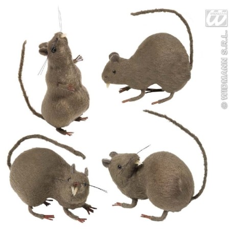 RATA                                              