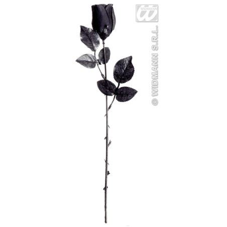 ROSA NEGRA                                        